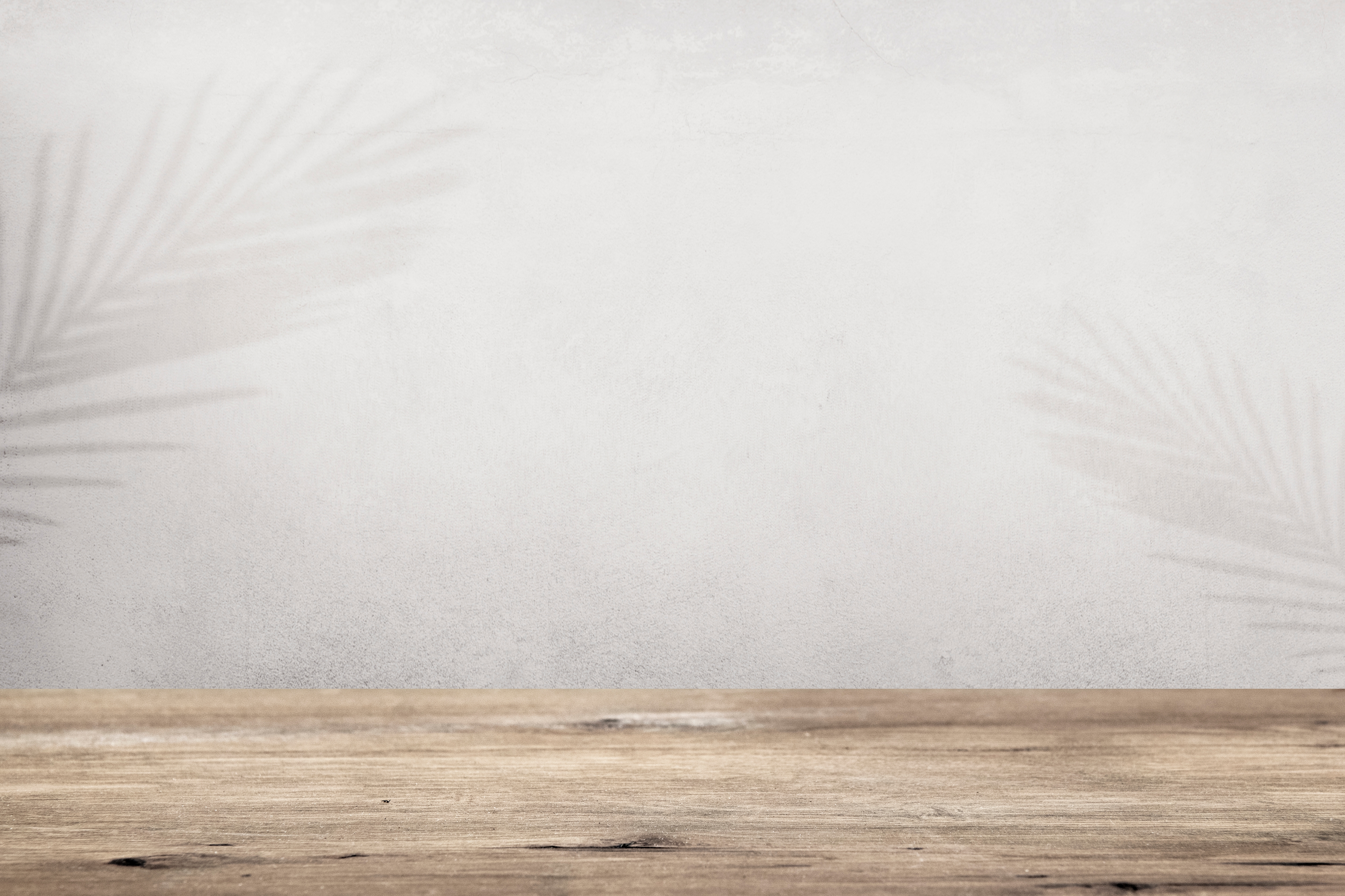 Fondo-Mockup-Robnei-23