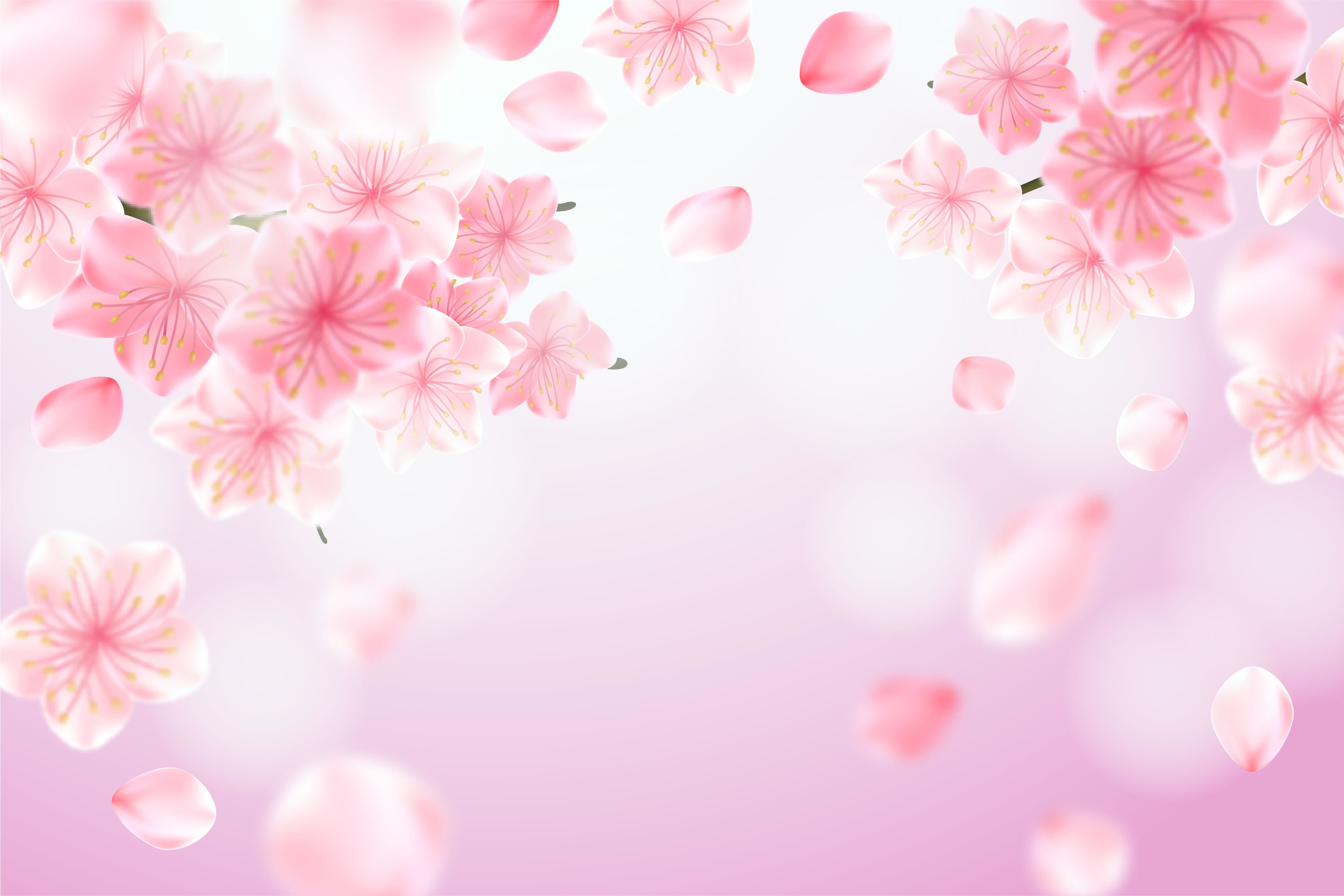 fondo-rosado-mas-flores-Robnei