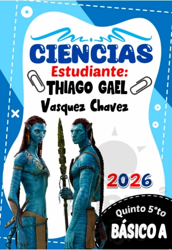 Avatar