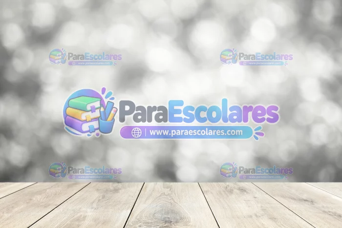 Fondo Mockup Robnei 04