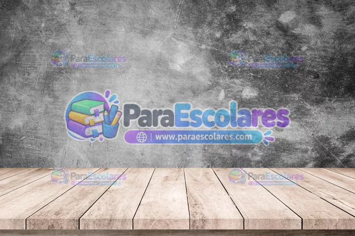 Fondo-Mockup-Robnei-20