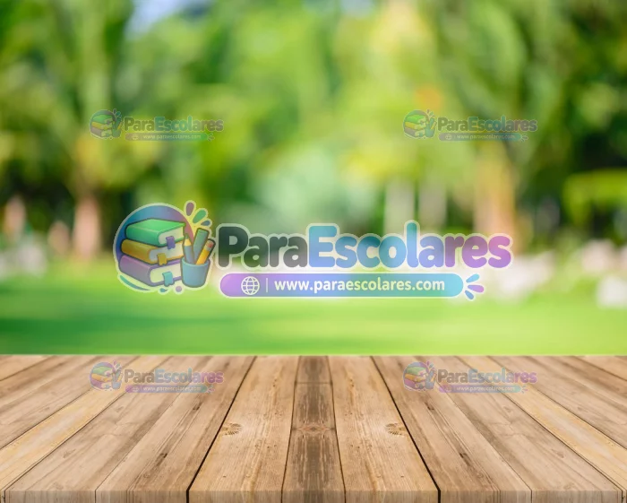 Fondo-Mockup-Robnei-Madera-Verde