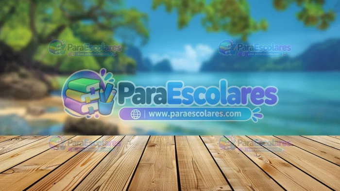Fondo-Playa-Mockup-Robnei-25