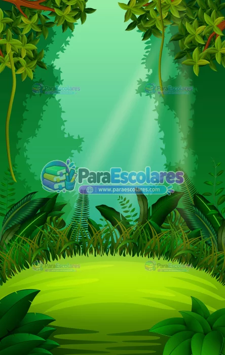 Fondo-Selva-Safari